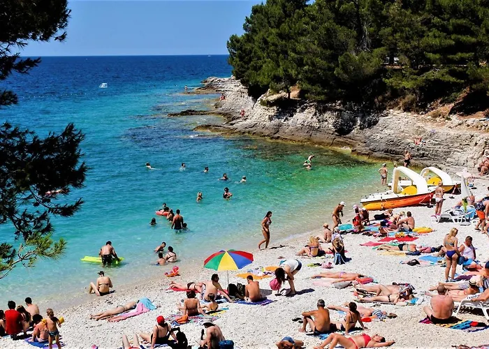 Sunset View 아파트 풀라